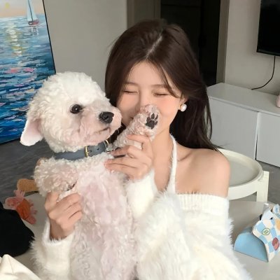 凤鸣怪谈
